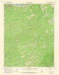 Big Meadow 1956 topographic map thumbnail