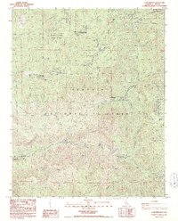 Camp Wishon 1987 topographic map thumbnail