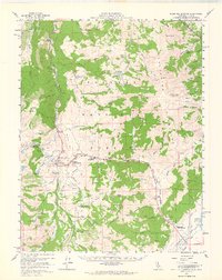 Fales Hot Springs 1956 topographic map thumbnail