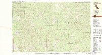 Four Corners Rock 1981 topographic map thumbnail