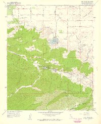 Lake Hughes 1957 topographic map thumbnail