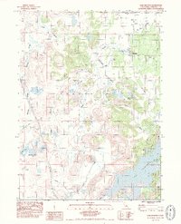 Lake Shastina 1984 topographic map thumbnail