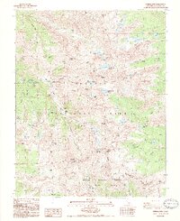 Mineral King 1988 topographic map thumbnail