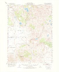 Observation Peak 1954 topographic map thumbnail