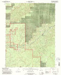 Onion Butte 1995 topographic map thumbnail