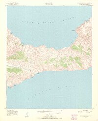 Santa Cruz Island C 1943 topographic map thumbnail