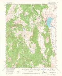 Topaz Lake 1956 topographic map thumbnail