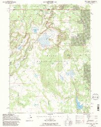 Weed Valley 1993 topographic map thumbnail
