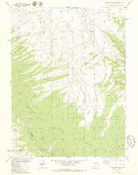 Battle Mountain 1979 topographic map thumbnail