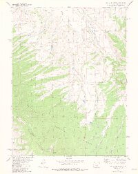Battle Mountain 1979 topographic map preview