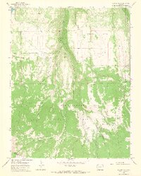 Beaver Park 1964 topographic map thumbnail
