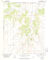 Buck Canyon 1978 topographic map thumbnail