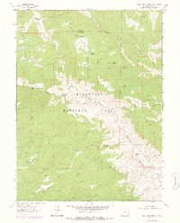 Buckhorn Mountain 1962 topographic map thumbnail