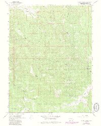 Center Mountain 1963 topographic map thumbnail