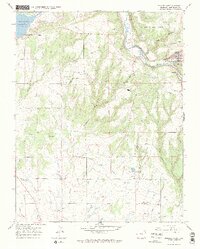 Dolores West 1965 topographic map thumbnail