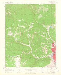 Durango West 1963 topographic map thumbnail