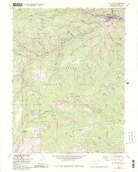 Idaho Springs 1957 topographic map thumbnail