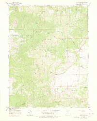 Indian Point 1965 topographic map thumbnail
