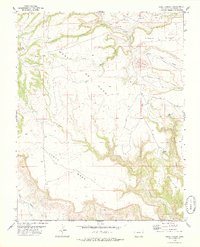 Jesus Canyon 1978 topographic map thumbnail