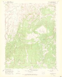 Lake Mountain 1967 topographic map thumbnail