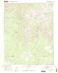 Pagosa Peak 1964 topographic map thumbnail