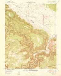 Paradox 1949 topographic map preview