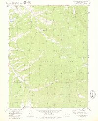 Sylvan Reservoir 1979 topographic map thumbnail