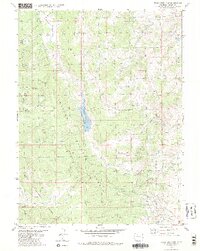 Tyler Mountain 1980 topographic map thumbnail