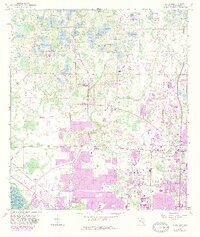 Citrus Park 1956 topographic map thumbnail