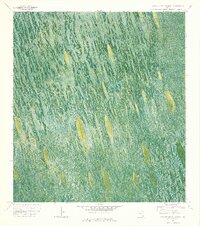 Custard Apple Hammock 1973 topographic map thumbnail
