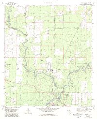 Ellaville 1959 topographic map thumbnail