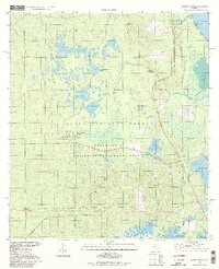 Juniper Springs 1994 topographic map thumbnail