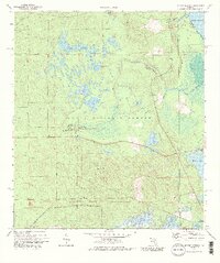Juniper Springs 1972 topographic map thumbnail