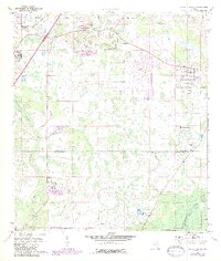 Wesley Chapel 1973 topographic map thumbnail