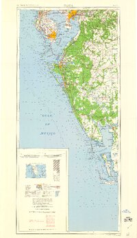 Tampa 1960 topographic map thumbnail