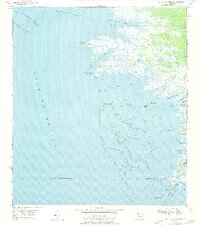 Withlacoochee Bay 1955 topographic map thumbnail