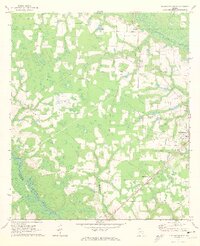 Blackshear West 1971 topographic map thumbnail