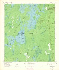 Chesser Island 1965 topographic map thumbnail
