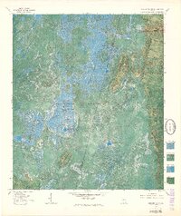 Chesser Island 1965 topographic map thumbnail