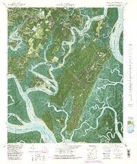 Isle of Hope 1979 topographic map preview