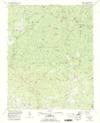 Neels Gap 1988 topographic map thumbnail