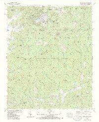 Rabun Bald 1988 topographic map thumbnail