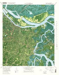Savannah 1978 topographic map thumbnail