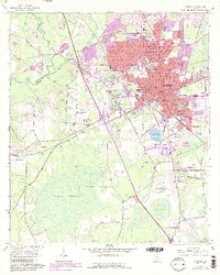 Valdosta 1961 topographic map thumbnail