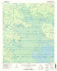 Waycross SE 1994 topographic map thumbnail
