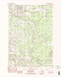 Benzonia 1983 topographic map thumbnail