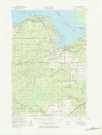 Brimley 1951 topographic map thumbnail