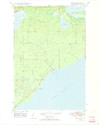 Deer Lake 1948 topographic map thumbnail