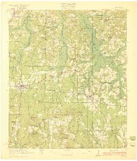 Forest 1922 topographic map thumbnail