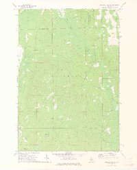 Hubbard Lake SW 1972 topographic map thumbnail
